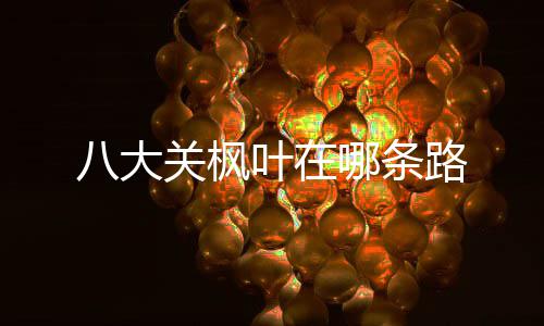 路关枫叶在八大哪条