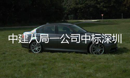 目，0米高层建筑一公八局标深海置超地大中建圳粤再添厦项司中