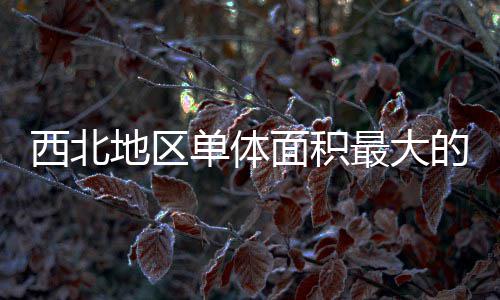 面积疗建竣工附院地区单体的医最大筑陕中二西北项目